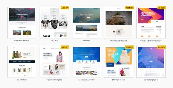 astra-premium-sites.webp