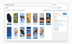 Instagram Sync for WooCommerce.webp Instagram Sync for WooCommerce.webp
