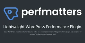 Perfmatters - Lightweight WordPress Performance Plugin.webp