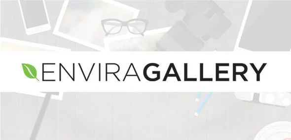 envira-gallery-addons-premium-wordpress-gallery-plugin.webp
