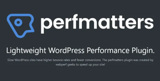 Perfmatters - Lightweight WordPress Performance Plugin.webp